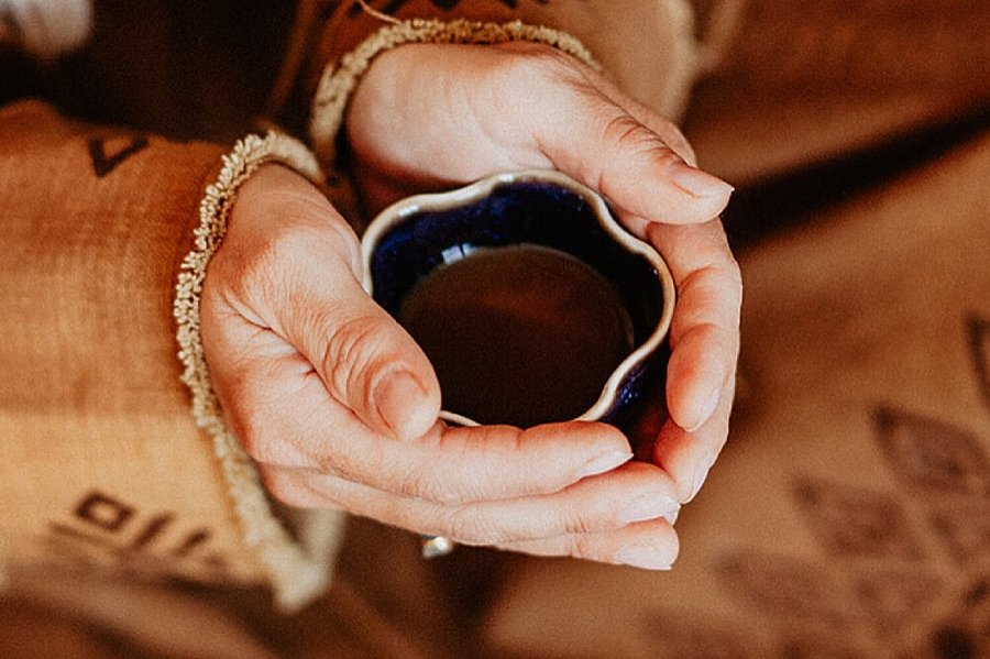 Private Ayahuasca-Zeremonie in Ouderkerk aan de Amstel